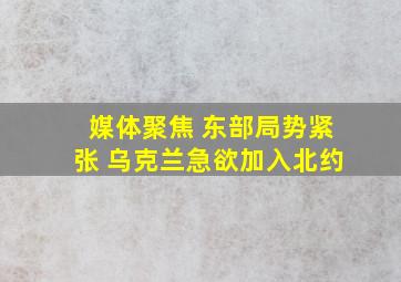 媒体聚焦 东部局势紧张 乌克兰急欲加入北约